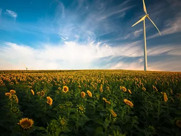 Carbon Neutral